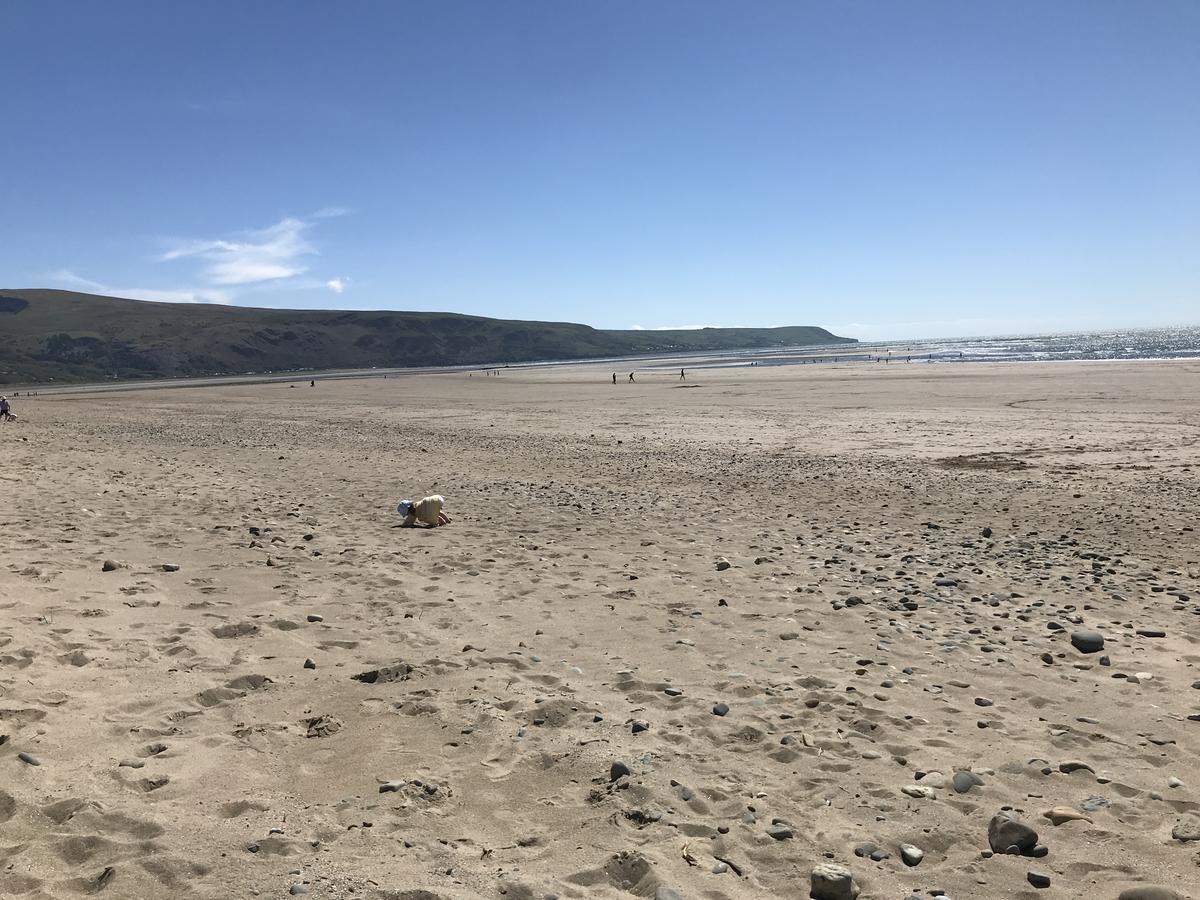 The Sandpiper Barmouth Dış mekan fotoğraf